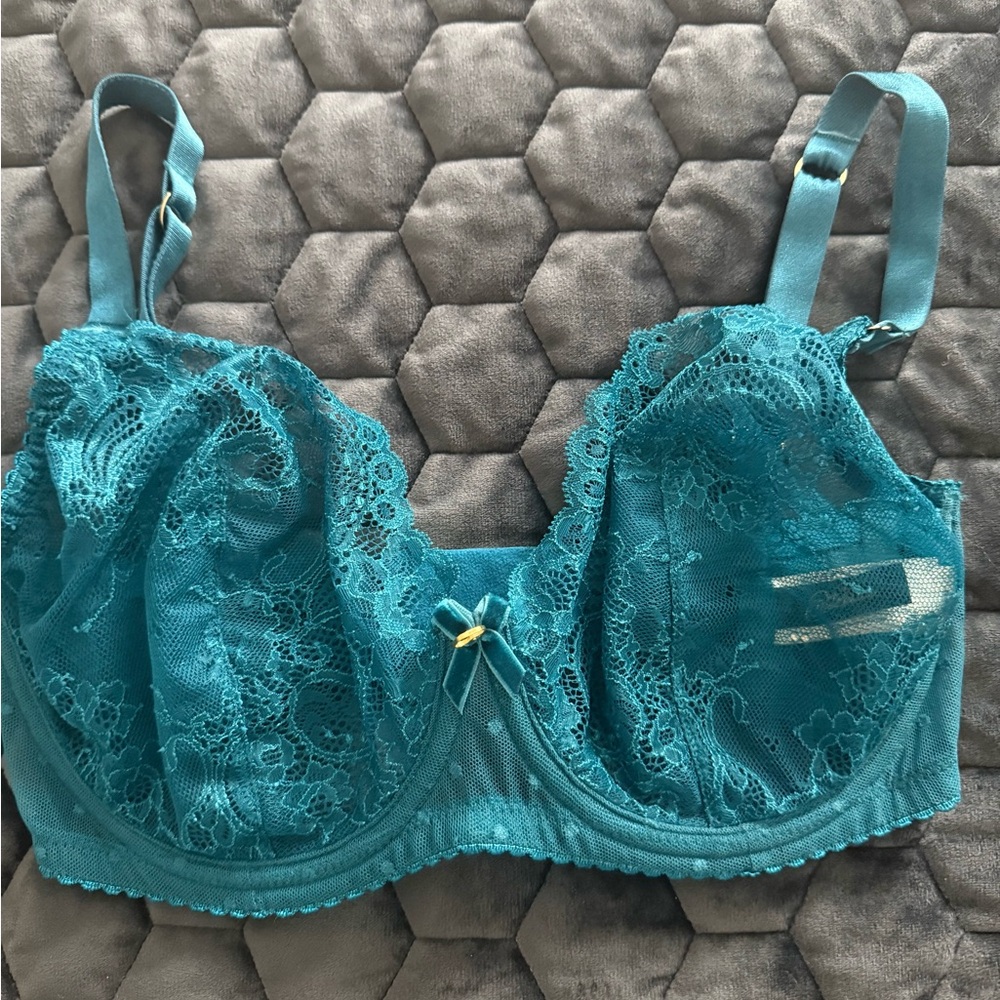 NWOT DITA VON TEESE Elegant Blue Lace Bra - 32DDD